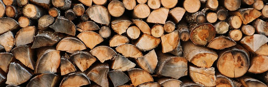 Vente de bois – 29 novembre – 18h