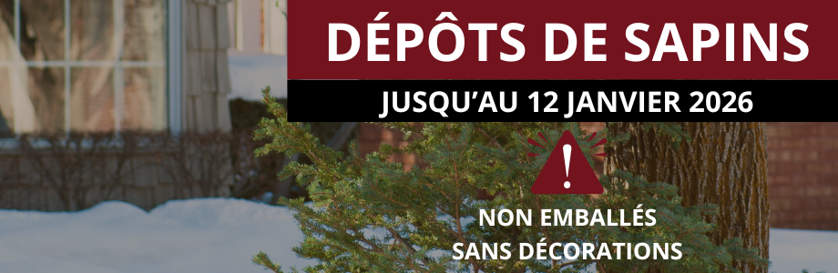 Dépôts de sapins