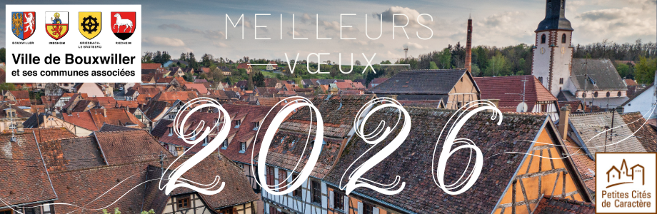 Meilleurs vœux 2026