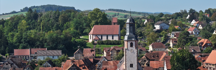 Investir les patrimoines : projet AMI